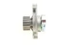 Комплект ГРМ + ТНВД + помпа VW LT 2.5SDI/VW T4 2.5 TDI 96-06 (26.4x122z/20.8x81z) (3 рол (opt-om) Contitech CT939WP11PRO (фото 27)