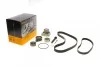 Комплект ГРМ + ТНВД + помпа Audi A6 2.5TDI 94-97 (26.4x122z/21.1x80z) CONTINENTAL (opt-om) Contitech CT939WP9PRO (фото 1)