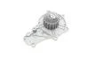 Помпа води Citroen Berlingo/Fiat Scudo 1.6HDI 08- (19z) CONTINENTAL UA63 Contitech WP6014 (фото 7)