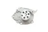 Помпа води Renault Trafic/Master/Megane/Scenic/Opel Vivaro 1.8 16V/1.9dCi/DTI/2.0 99- (opt-om) Contitech WP6074 (фото 4)