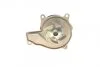 Водяний насос Contitech WPS3079 (фото 4)