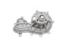 Насос охолоджуючої рідини (Вир-во) Contitech WPS3177 (фото 4)