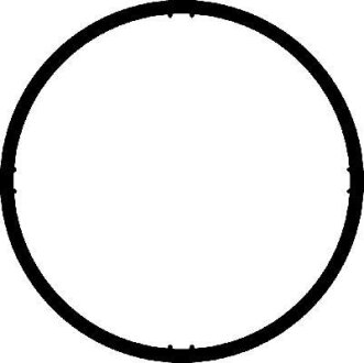 Прокладка впускного колектора CORTECO 026269H