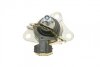Опора двигуна гумометалева RENAULT MEGANE I/SCENIC I 1.9DCI/1.9DTI 1999-2003 R -ua CORTECO 80001199 (фото 6)