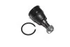 Опора кульова нижня Honda Civic 01-05 OLD CBHO-30 (вир-во) C.I.U CTR CB0115 (фото 1)