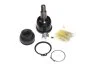 Опора кульова нижня Honda Accord 89-98 Odyssey 94-99 OLD CBHO-6 (вир-во) C.I.U CTR CB0142 (фото 1)