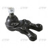 Опора шаровая HYUNDAI TERACAN 00-06 LOW R L CTR CBKH-24 (фото 1)