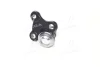 Опора кульова HYUNDAI ELANTRA AD 15- LOWER L -ua CTR CBKH-43L (фото 3)