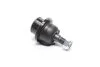 Опора кульова нижня Ford Explorer 04-05 Ranger 05-11 Mazda Proceed 98- (вир-во) CTR CBMZ-36 (фото 1)