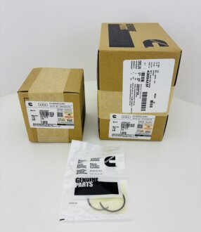 Поршень циліндра Газель NEXT, Бізнес дв. CUMMINS 4309425