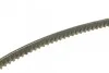Ремінь генератора Audi 80/BMW 3/5/VW Passat 1.3-1.8 -06 UA63 DAYCO 13A0825C (фото 2)