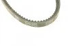 Ремінь генератора Audi 80/BMW 3/5/VW Passat 1.3-1.8 -06 UA63 DAYCO 13A0825C (фото 3)