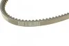 Ремінь генератора Audi 80/BMW 3/5/VW Passat 1.3-1.8 -06 UA63 DAYCO 13A0825C (фото 4)