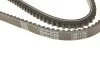 Ремінь генератора Range Rover I 2.4 TD 4X4 (13X1175) UA63 DAYCO 13A1175C (фото 5)