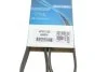 Ремінь генератора Renault Rapid 1.4i 91-98 UA63 DAYCO 4PK1185 (фото 6)