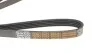 Ремінь генератора Mazda 626 1.8i 92-97 (opt-om) DAYCO 5PK1025HD (фото 3)