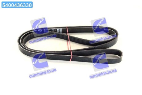 Ремінь поліклін. DAYCO 5PK1825