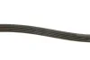 Ремінь генератора BMW 5 (E39)/7 (E38) 2.5TD/Kia Cerato 1.5-1.6CRDI 05- UA63 DAYCO 5PK1850 (фото 3)