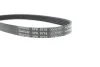 Ремень поликлиновый (пр-во) DAYCO 5PK716EE (фото 4)
