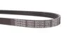 Ремінь генератора Land Rover Freelander 1.8 16V 00-06 UA63 DAYCO 5PK736 (фото 4)