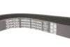 Ремінь генератора Citroen Berlingo/Peugeot Partner 1.6 BlueHDi 08- UA63 DAYCO 6PK1004K (фото 3)