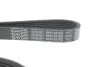Ремінь поліклиновий DAYCO 6PK1027EE (фото 4)