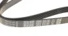 Ремінь генератора VW Golf V/VI/Passat VI/VII/Tiguan/Touran 1.4TSI/FSI/1.6 FSI 03-18 UA63 DAYCO 6PK1087 (фото 2)