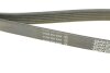 Ремінь генератора Citroen Berlingo/Peugeot Partner 1.6HDI (-AC) (opt-om) DAYCO 6PK1360S (фото 3)