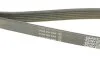 Ремінь генератора Citroen Berlingo/Peugeot Partner 1.6HDI (-AC) (opt-om) DAYCO 6PK1360S (фото 3)