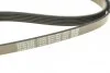 Ремінь генератора MB C-class (W202) 2.0 95-01 UA63 DAYCO 6PK1865 (фото 4)