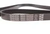 Ремень поликлин. (пр-во) DAYCO 6PK2250 (фото 3)
