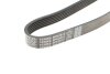 Ремінь генератора Audi 100/A6 4.2 V8 92-97/A8 3.3 UA63 DAYCO 6PK2615 (фото 5)