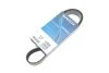 Ремінь поліклиновий TWINGO II 1.2 16V 04.2007 - ; CLIO III 1.2 06.2005 - ; MODUS 1.2 09.2004 - ; TWING -ua DAYCO 7PK1035 (фото 2)