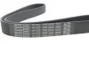 Ремень поликлиновый (пр-во) DAYCO 7PK1045 (фото 4)