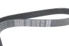 Ремень поликлиновый (пр-во) DAYCO 7PK1784 (фото 3)