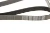 Ремень поликлиновый (пр-во) DAYCO 7PK2250 (фото 4)