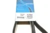 Ремень поликлиновый (пр-во) DAYCO 7PK2250 (фото 5)