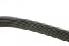 Ремінь генератора Mazda CX-7 2.2MZR-CD AWD 09-13 (opt-om) DAYCO 8PK1295 (фото 2)