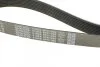 Ремінь генератора Mazda CX-7 2.2MZR-CD AWD 09-13 (opt-om) DAYCO 8PK1295 (фото 4)