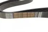 Ремінь генератора MB Vario OM904 (opt-om) DAYCO 8PK1425HD (фото 3)