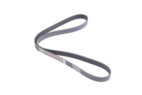 Ремінь поліклін. TRUCK DAYCO 8PK1565HD