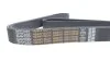 Ремень поликлин. (пр-во) DAYCO 8PK1795HD (фото 4)