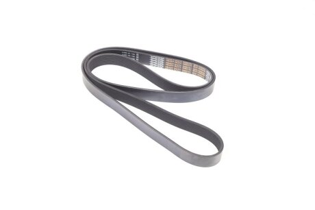 Ремінь поліклін. TRUCK DAYCO 8PK1908HD