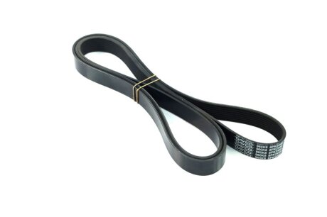 Ремінь поліклін. DAYCO 8PK2440