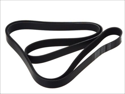 Ремінь поліклін. DAYCO 8PK2555HD