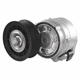 Роликовий модуль натягувача ременя DAYCO APV1021