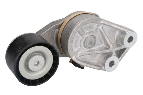 Ролик натяжний RVI, VOLVO DAYCO APV1117