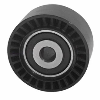 Ролик модуля натягувача ременя CITROEN XSARA PICASSO 1.6 DAYCO APV2180