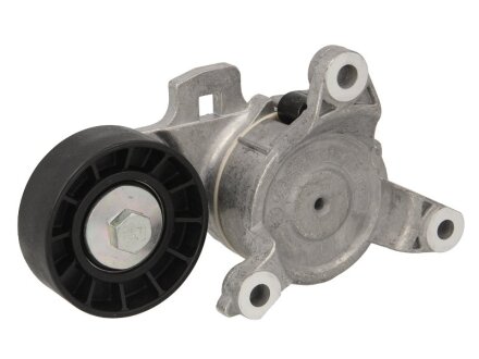 Натягувач поліклинового ременя DAYCO APV2712