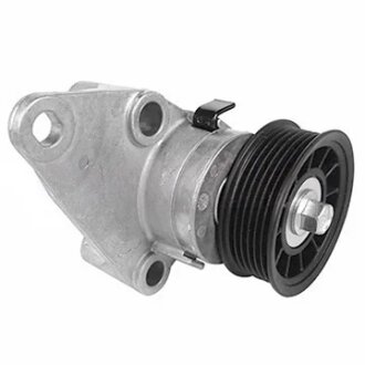 Роликовий модуль натягувача ременя DAYCO APV3038